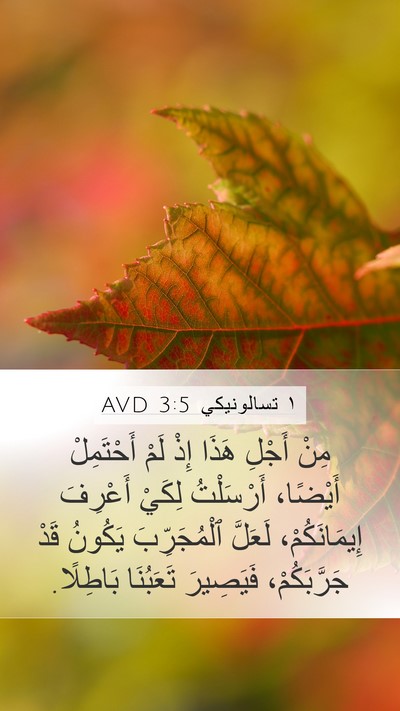١ تسالونيكي 3:5 AVD Bible Verse Image