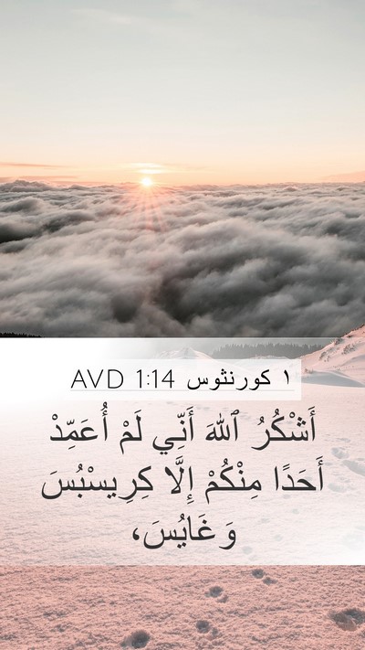١ كورنثوس 1:14 AVD Bible Verse Image