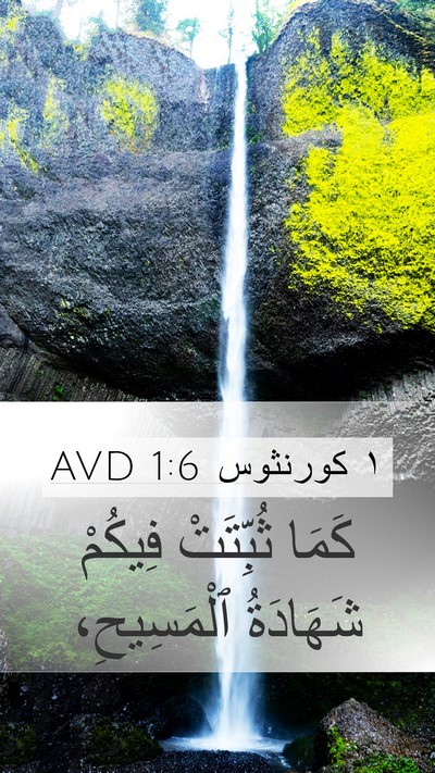 ١ كورنثوس 1:6 AVD Bible Verse Image
