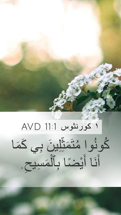 ١ كورنثوس 11:1 AVD Bible Verse Image