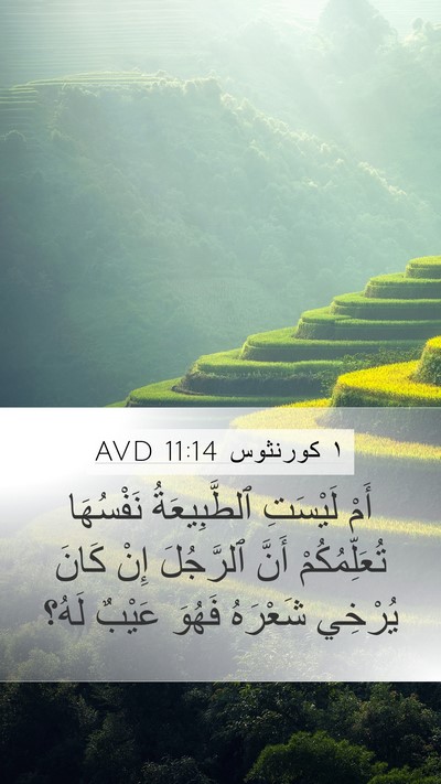 ١ كورنثوس 11:14 AVD Bible Verse Image