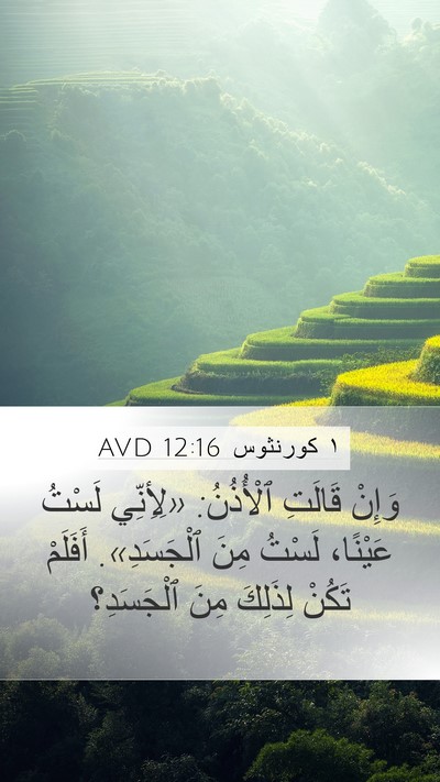 ١ كورنثوس 12:16 AVD Mobile Phone Wallpaper - وَإِنْ قَالَتِ ٱلْأُذُنُ: - Mobile Bible Verse Wallpaper