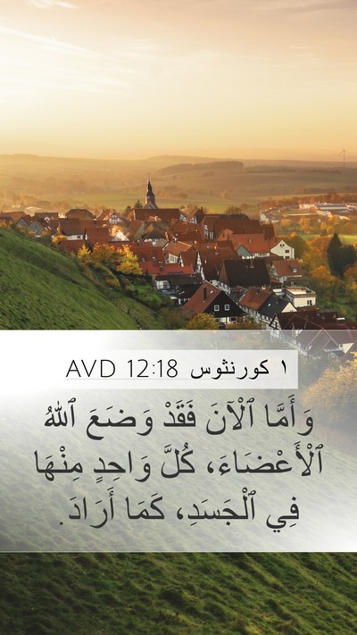 ١ كورنثوس 12:18 AVD Bible Verse Image