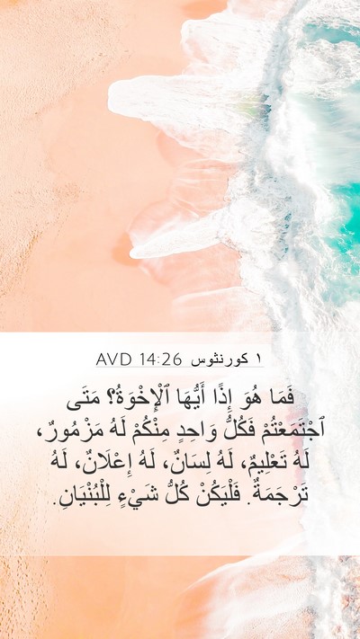 ١ كورنثوس 14:26 AVD Bible Verse Image