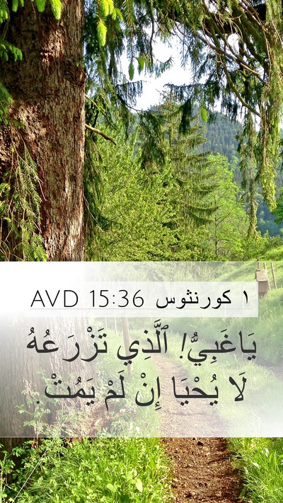 ١ كورنثوس 15:36 AVD Bible Verse Image