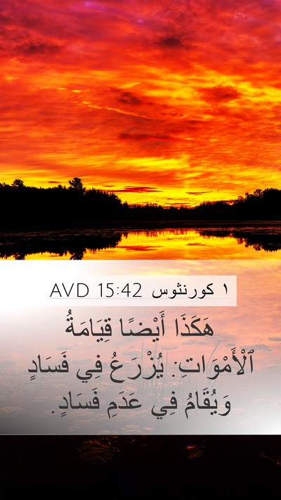 ١ كورنثوس 15:42 AVD Bible Verse Image