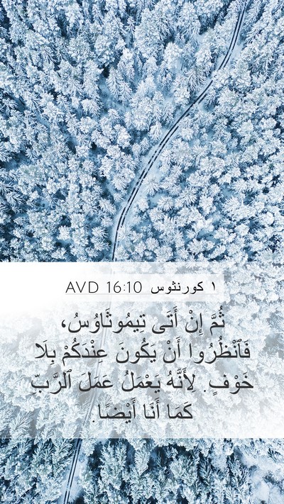 ١ كورنثوس 16:10 AVD Bible Verse Image