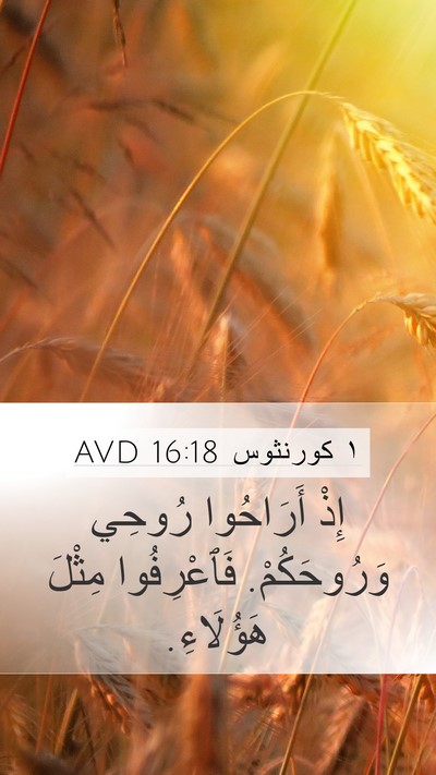 ١ كورنثوس 16:18 AVD Bible Verse Image