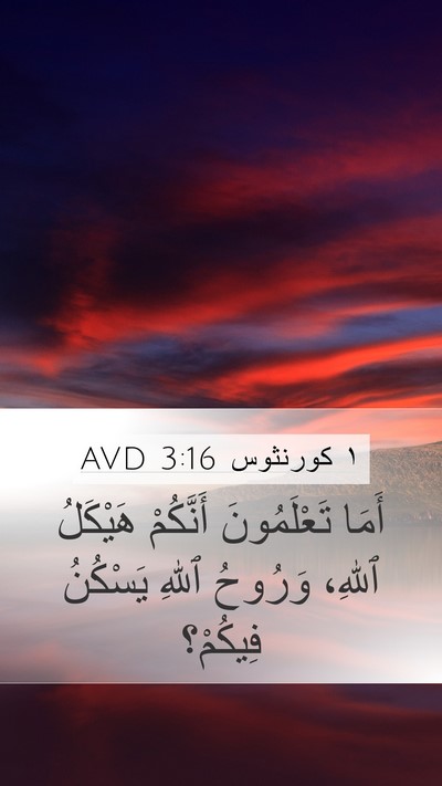 ١ كورنثوس 3:16 AVD Bible Verse Image