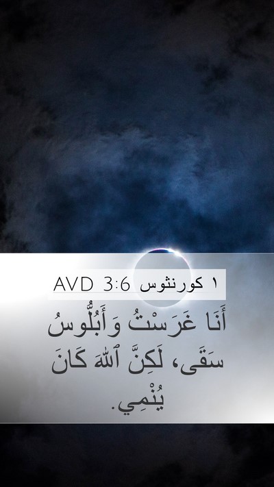 ١ كورنثوس 3:6 AVD Bible Verse Image