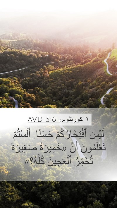 ١ كورنثوس 5:6 AVD Bible Verse Image