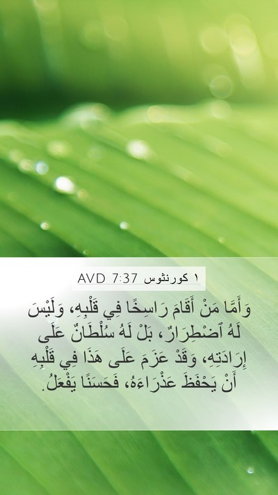 ١ كورنثوس 7:37 AVD Bible Verse Image