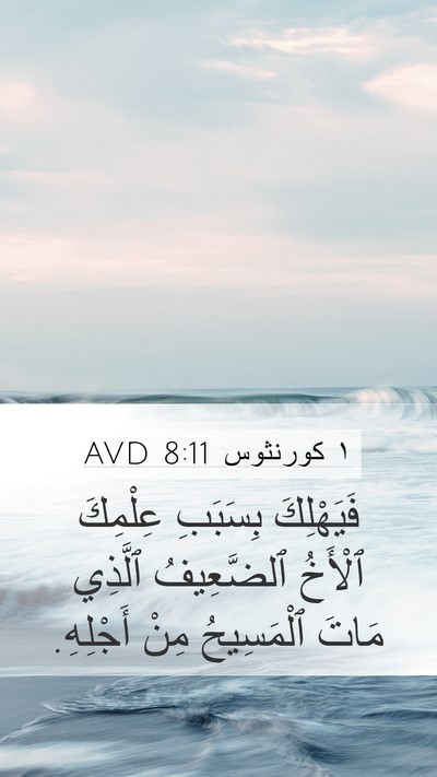 ١ كورنثوس 8:11 AVD Bible Verse Image