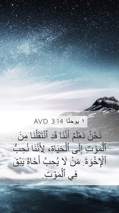١ يوحنَّا 3:14 AVD Bible Verse Image