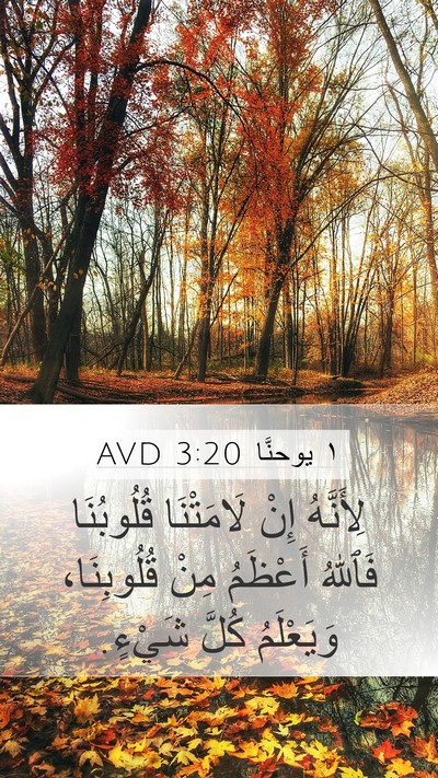 ١ يوحنَّا 3:20 AVD Bible Verse Image