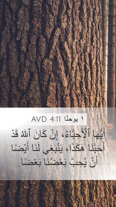 ١ يوحنَّا 4:11 AVD Bible Verse Image