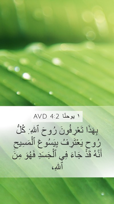 ١ يوحنَّا 4:2 AVD Bible Verse Image