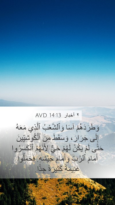 ٢ أخبار 14:13 AVD Bible Verse Image