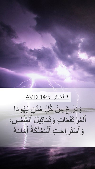 ٢ أخبار 14:5 AVD Bible Verse Image