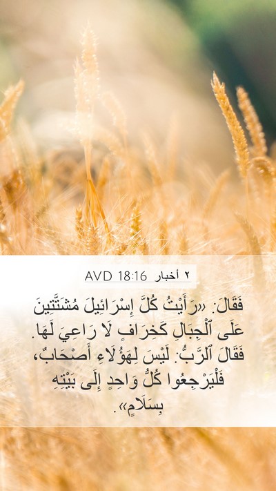 ٢ أخبار 18:16 AVD Bible Verse Image