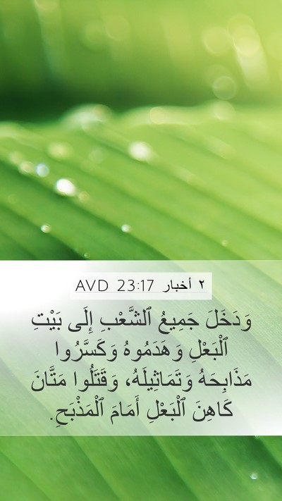 ٢ أخبار 23:17 AVD Bible Verse Image