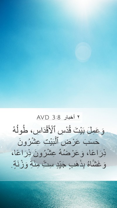 ٢ أخبار 3:8 AVD Bible Verse Image