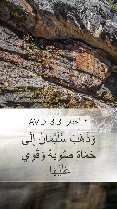 ٢ أخبار 8:3 AVD Bible Verse Image