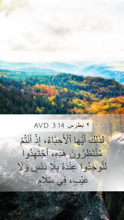 ٢ بطرس 3:14 AVD Bible Verse Image