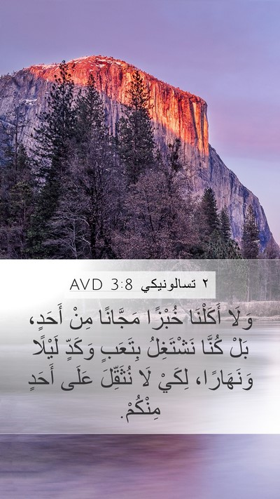 ٢ تسالونيكي 3:8 AVD Bible Verse Image