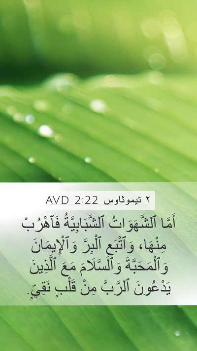 ٢ تيموثاوس 2:22 AVD Bible Verse Image