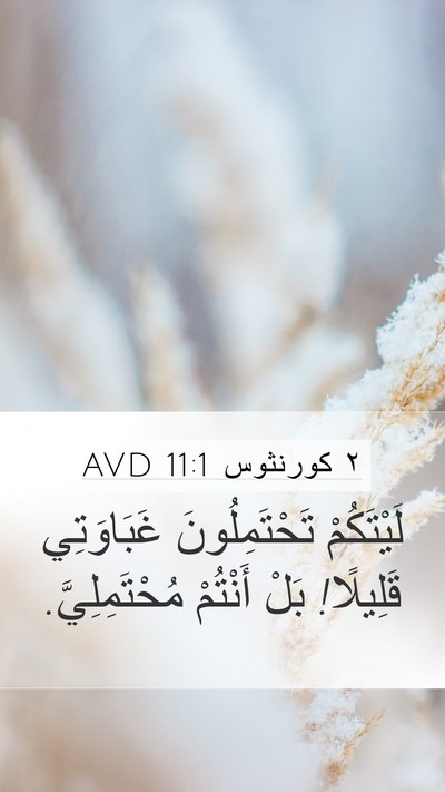 ٢ كورنثوس 11:1 AVD Bible Verse Image