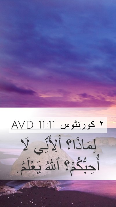 ٢ كورنثوس 11:11 AVD Bible Verse Image