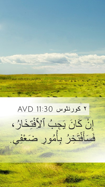 ٢ كورنثوس 11:30 AVD Bible Verse Image