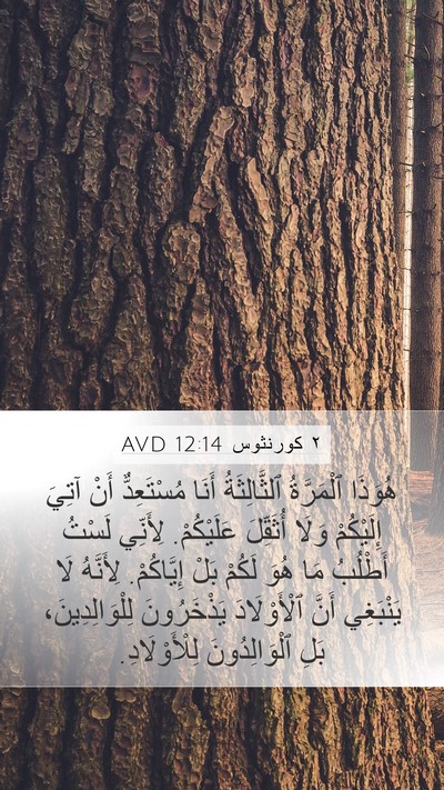 ٢ كورنثوس 12:14 AVD Bible Verse Image