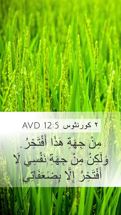 ٢ كورنثوس 12:5 AVD Bible Verse Image