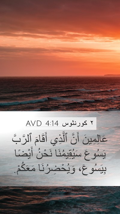 ٢ كورنثوس 4:14 AVD Bible Verse Image